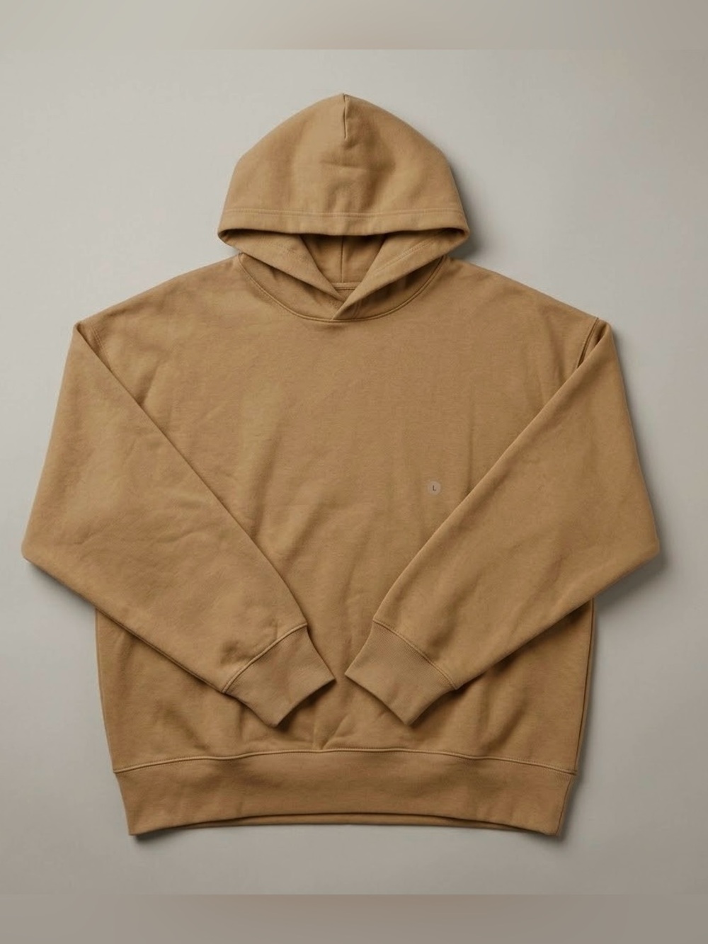 American Eagle Outfitters Hoodie Pullover oversized Women’s Fit or Men’s Large